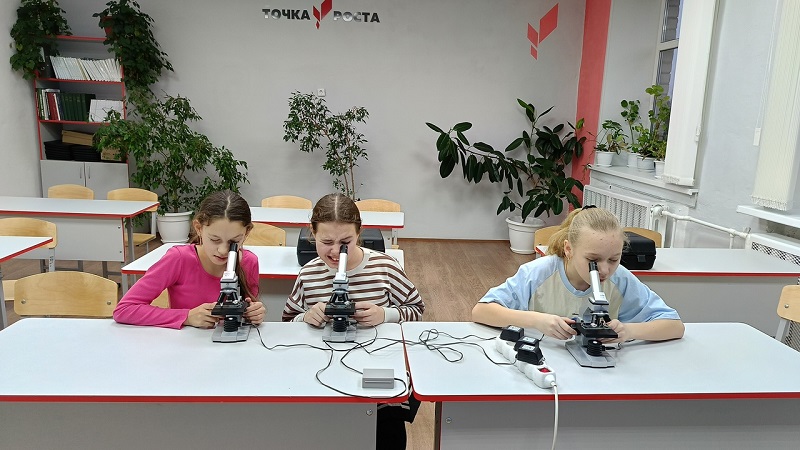 За страницами учебника биологии.