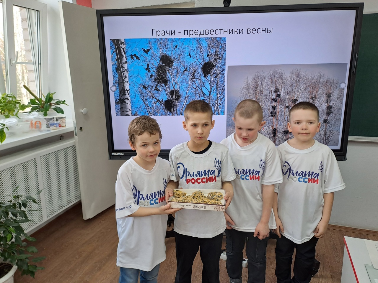 День птиц.