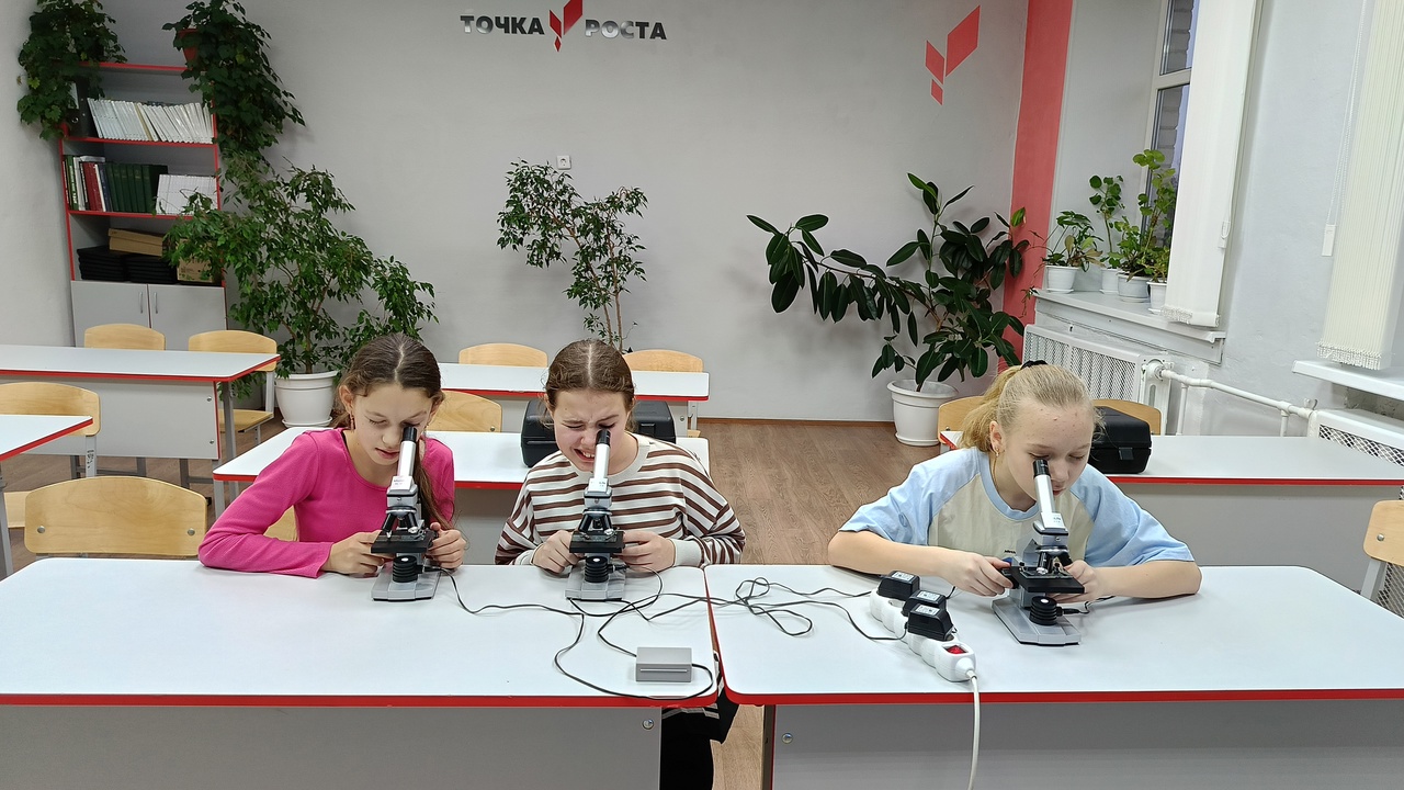 За страницами учебника